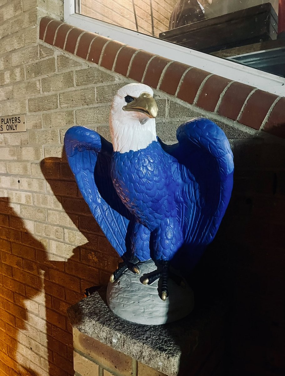 Banespringers tweet media