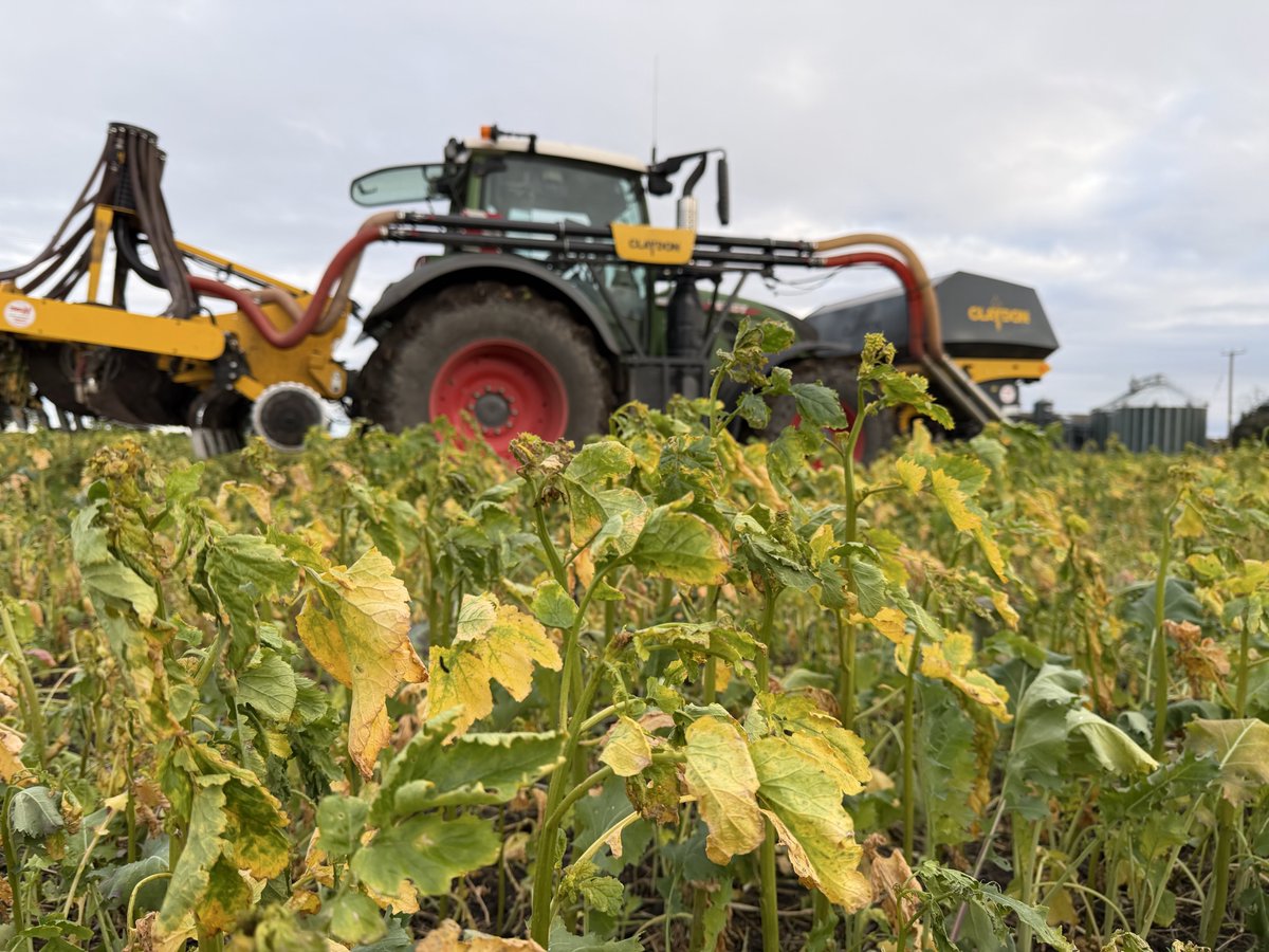 Daniel Brown tweet media