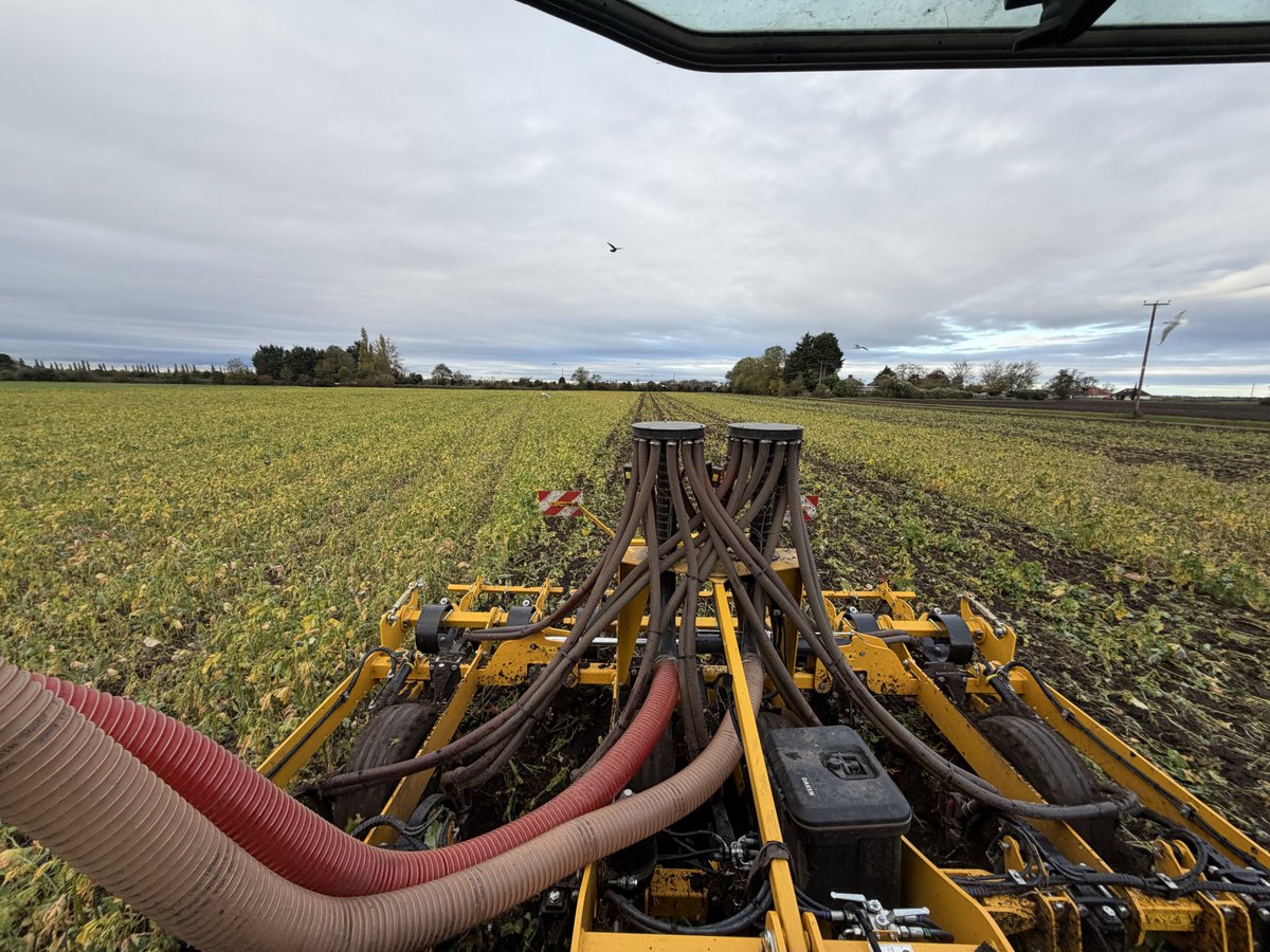 Daniel Brown tweet media