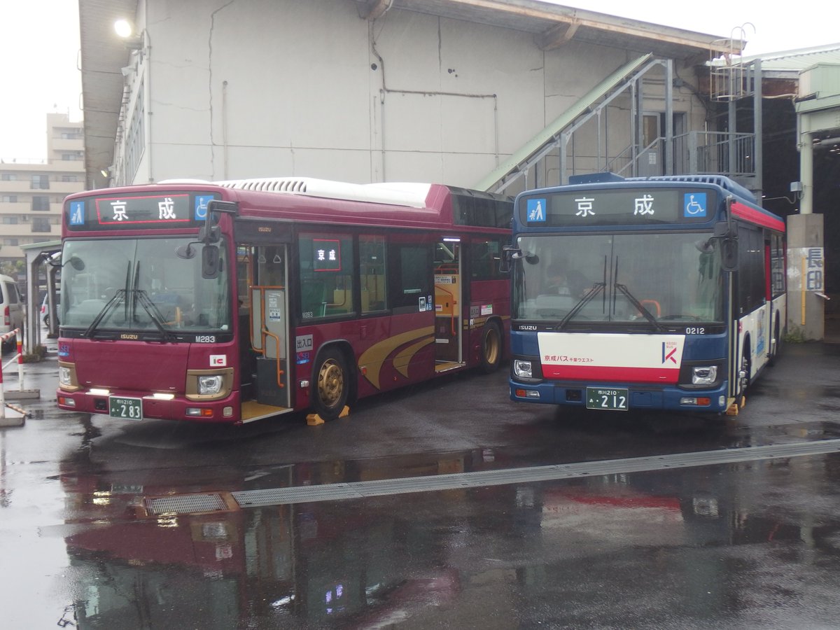 No Buses「Sweet 」新品未使用 91h1FiV7mpL.jpg