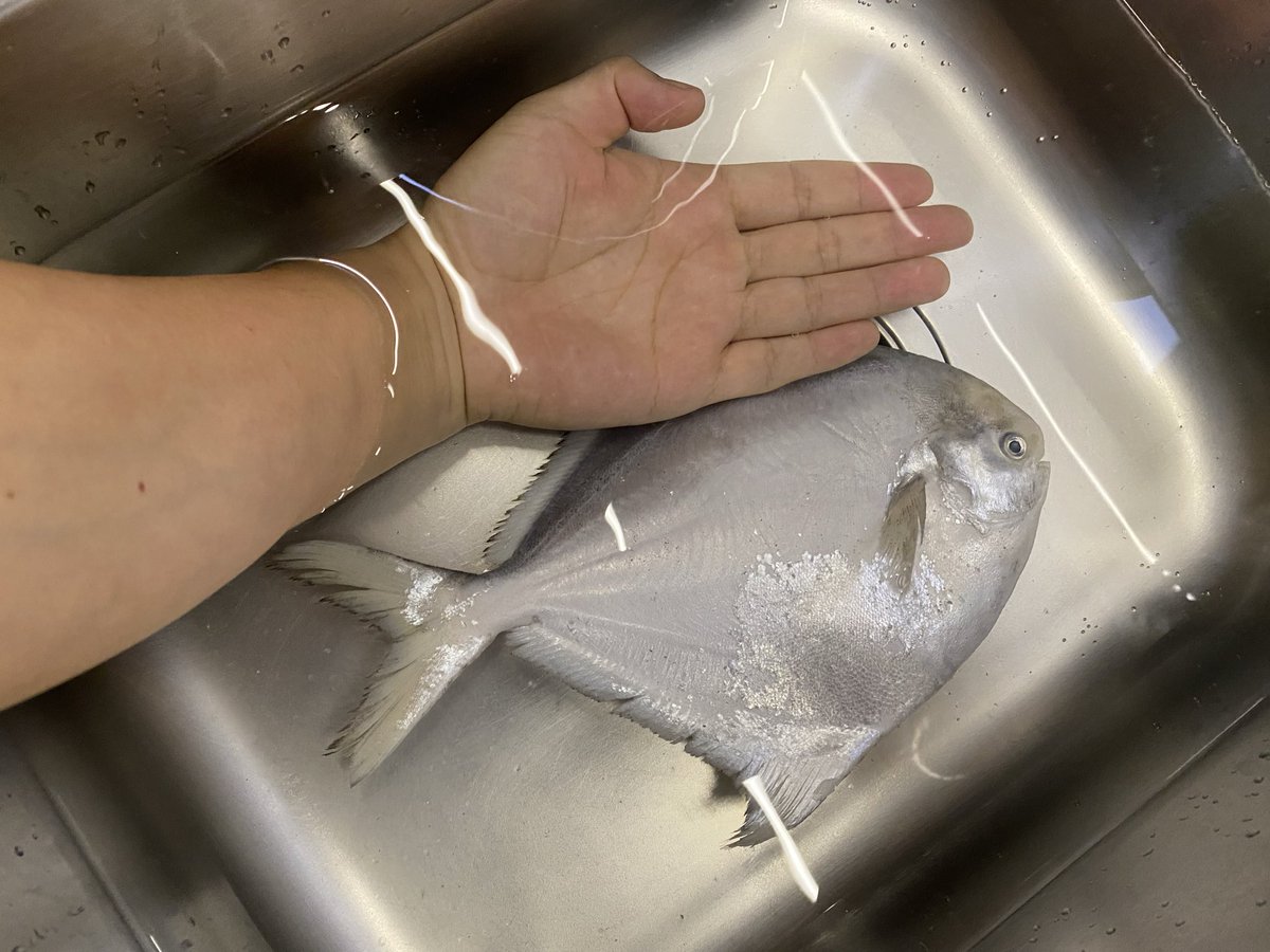 好久没发吃推了，最近深海大银鲳上市了，必须来一条。