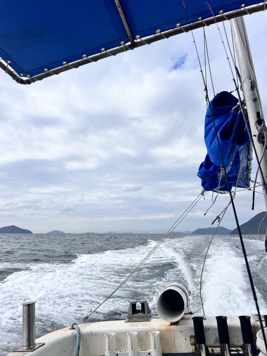 YDK0201mt's tweet photo. 去年のリベンジならず。
ティップは一回も走りませんでした。

#エギング
#ティップランエギング
#アオリイカ https://t.co/MMdmpi8a7n
