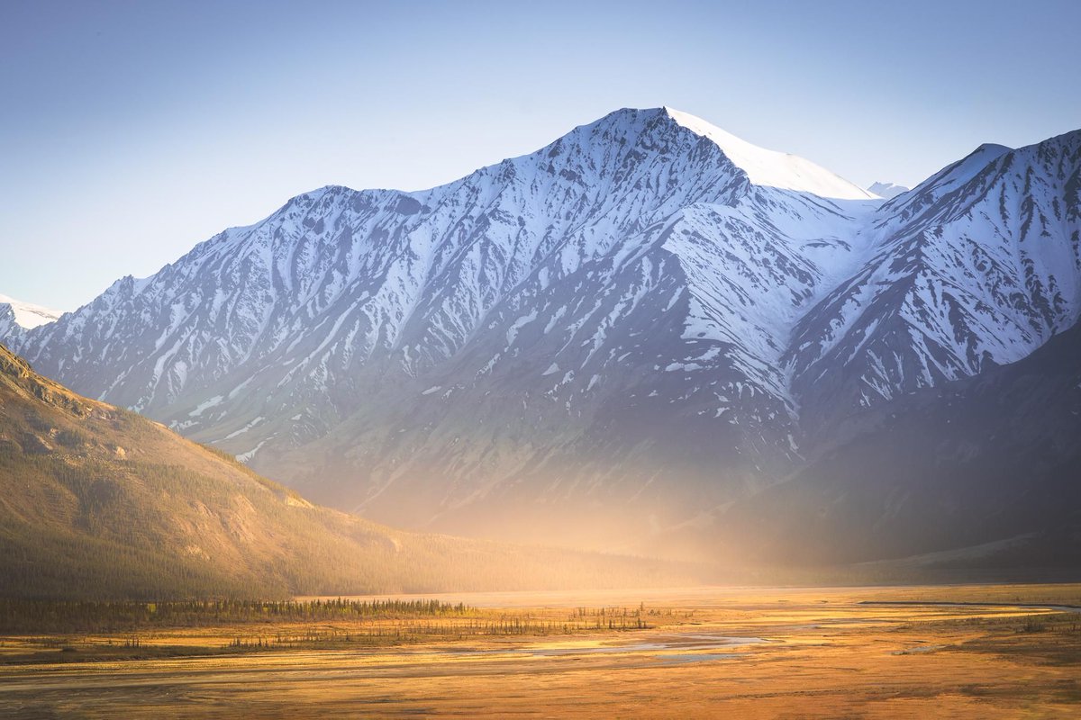 MikersCalgary's tweet photo. Good Morning!! Yukon Gold - Yukon Territory, Canada [2048 x 1365] [OC] https://t.co/sB3uecTuTU