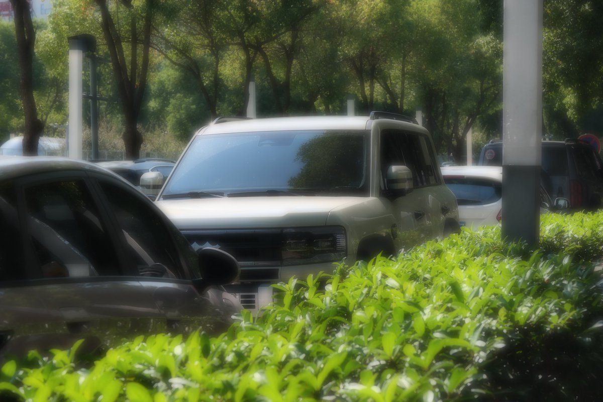 雾里看车