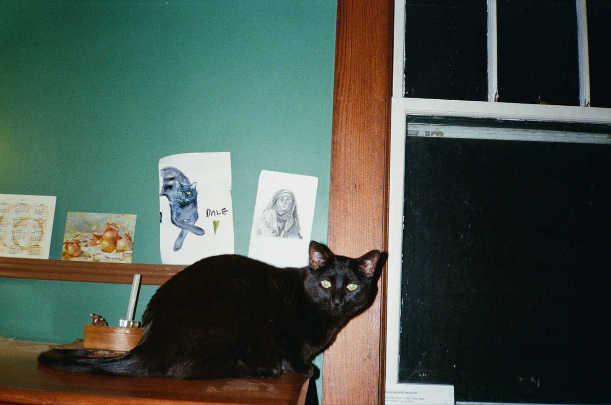 dale cooper tweet media