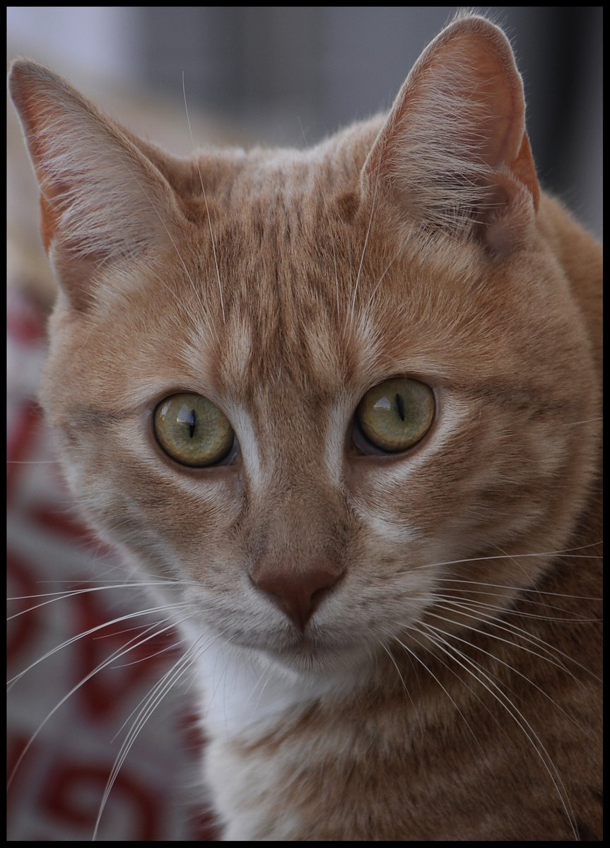 Alain Hanel (@alainhanel) on Twitter photo BAROMÈTRE LULU ...
Ça va, vous ? ...
Moi, ça va.
Bon week-end.
AH. BAROMÈTRE LULU ...
Ça va, vous ? ...
Moi, ça va.
Bon week-end.
AH.