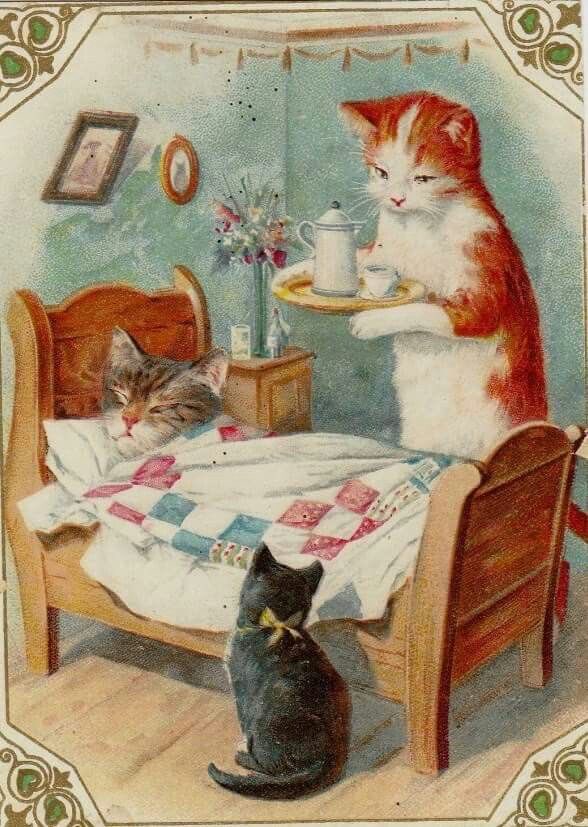 The human is very ill and thinks they're developing pneumonia. They're going to the doctor tomorrow. Our goodnight hugs go out to everyone who knows how scary it is to be sick when you live alone and none of your pets can drive and anyone that just needs a hug...💖
#Caturday