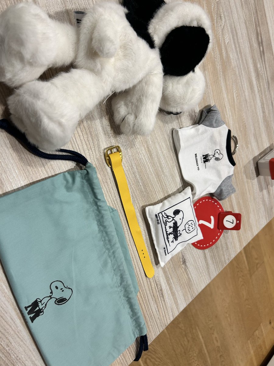 真 美 (@yuzu_1103) / Posts / X