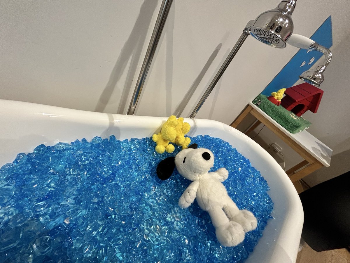 真 美 (@yuzu_1103) / Posts / X