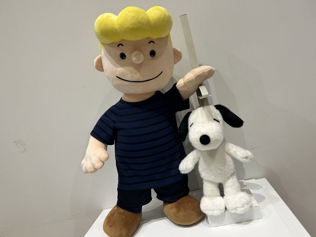 真 美 (@yuzu_1103) / Posts / X