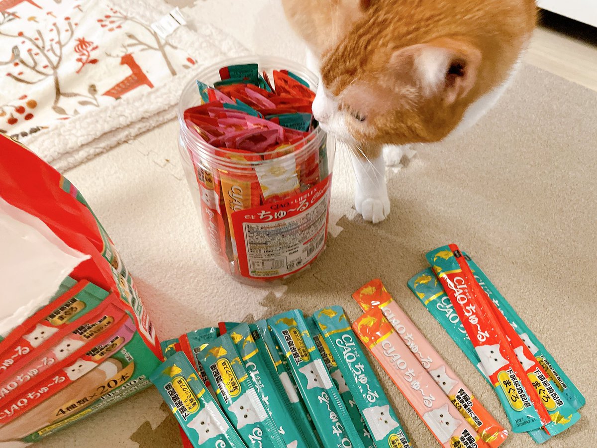 きなこページ きなこ on X