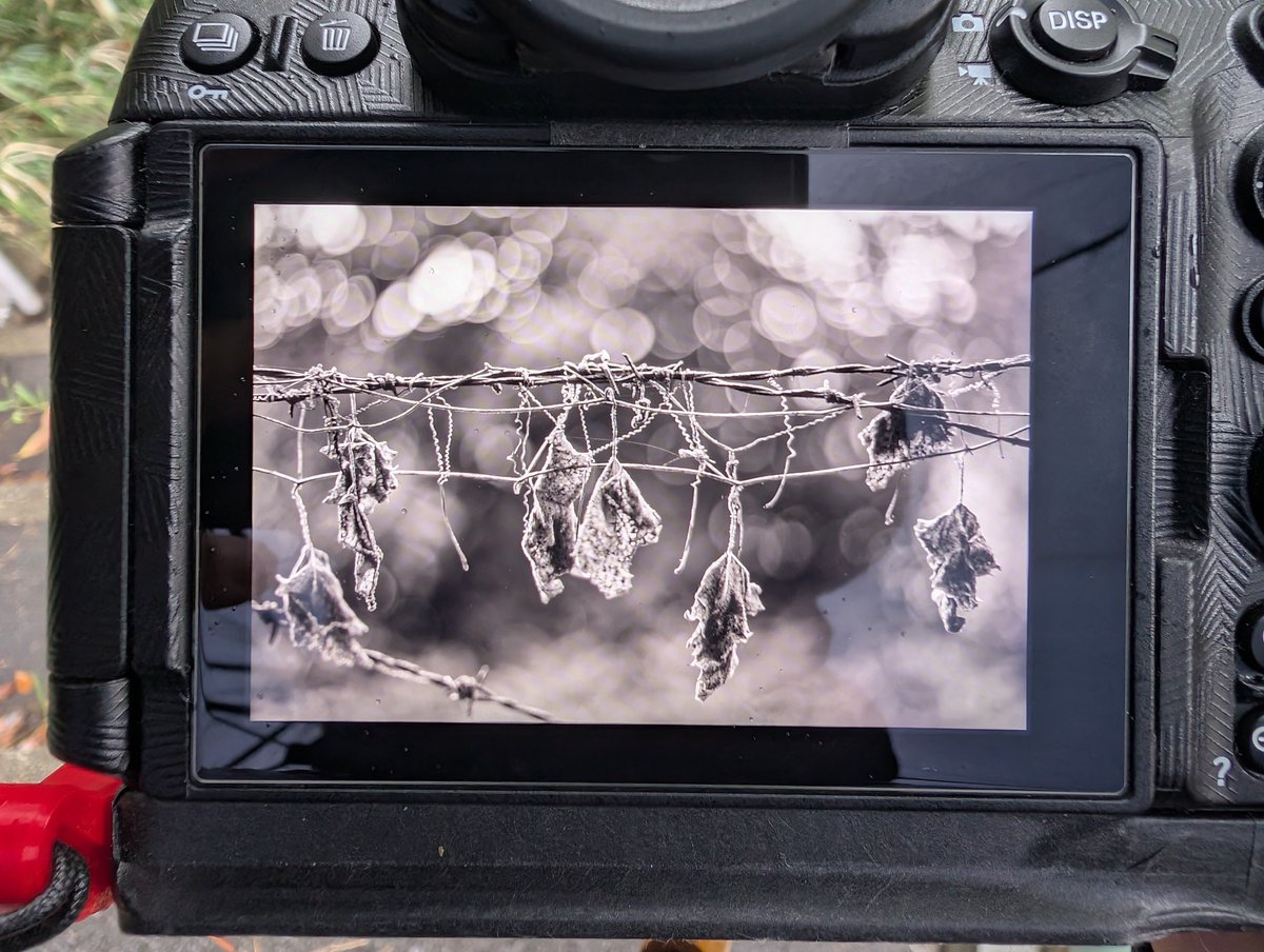 必ず開封動画を撮影してます。 ぴまん on X