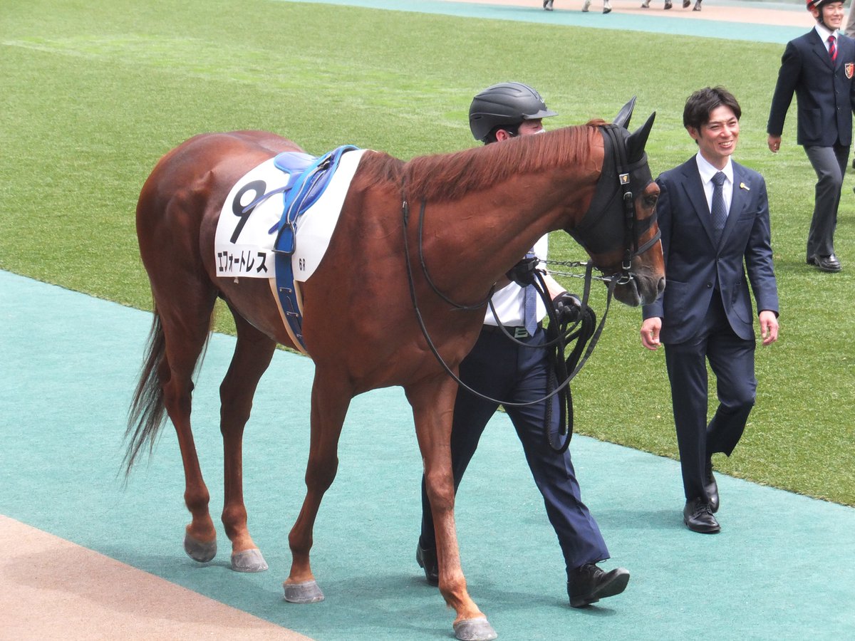 R_E_Y_D_E_O_R_O's tweet image. 精進湖特別に出走するエフォートレス NHKマイルCの日の写真 4枚目に映っているのは嘉藤調教師かな？