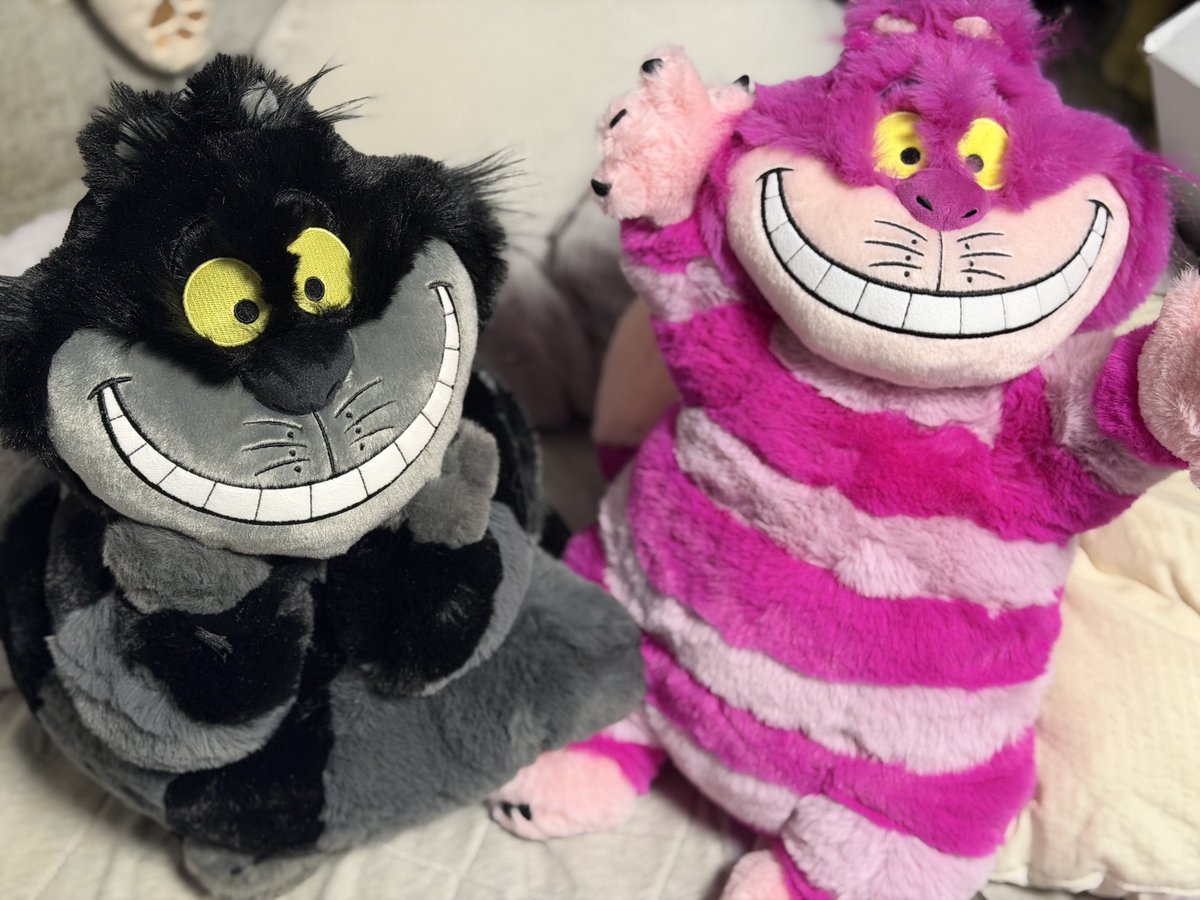 森猫🎃🐈‍⬛ on X