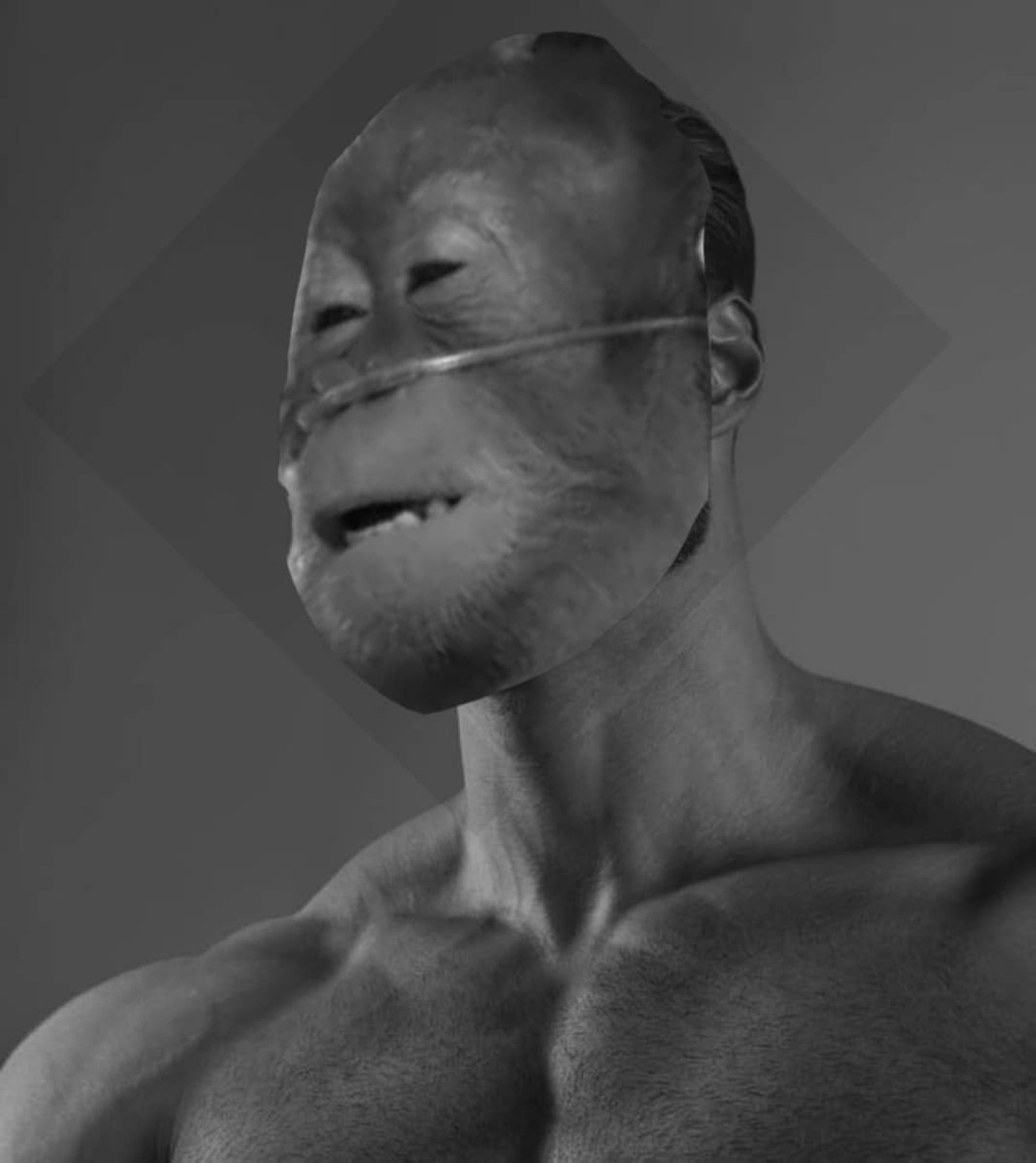 Goken 💀🐒 tweet media