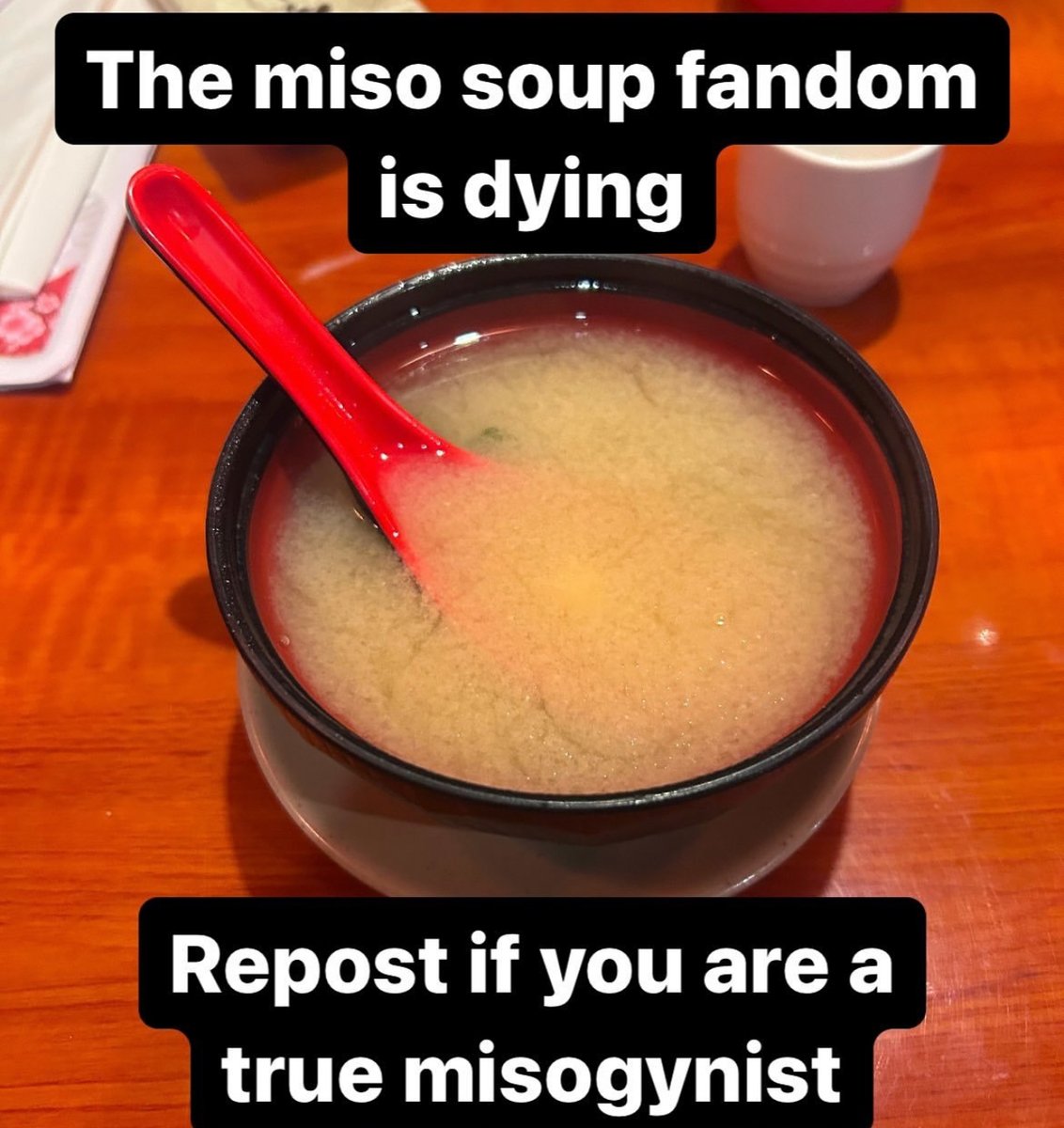 _littlerobin_1's tweet image. 