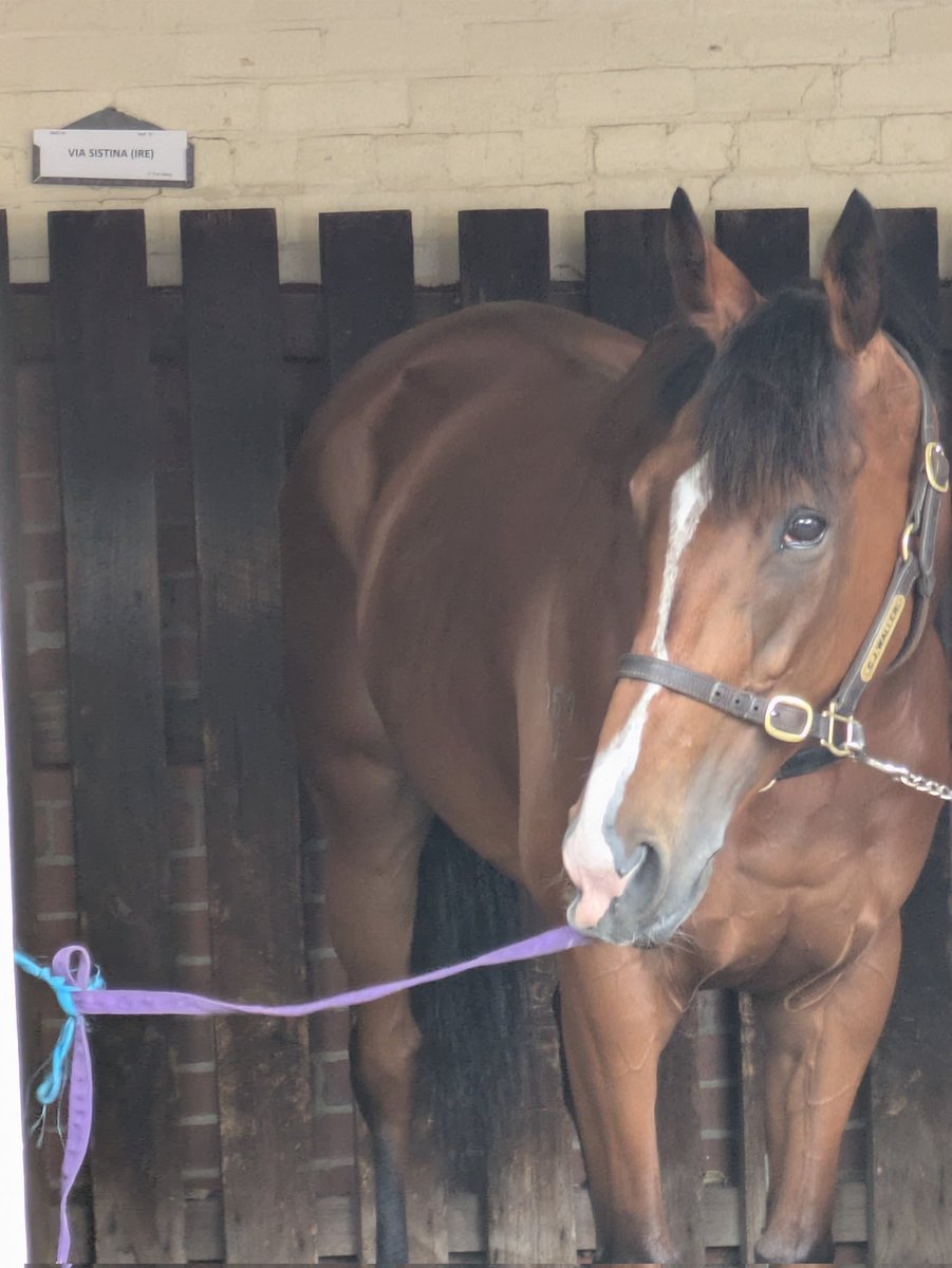 Antino and Via both look mint. 

Hoping for Antino. Tactics probably decide it