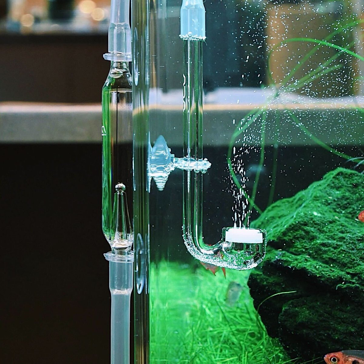 ada_lab_umeda's tweet image. ADA NEW CO2 SYSTEM
: MINI DIFFUSER
: CO2 MINI COUNTER

小型水槽用のCO2添加器具として「ミニディフューザー」と「CO2ミニカウンター」が新たにラインナップに加わりました。
小型水槽に最適なコンパクトサイズで、シンプルなデザインはどんな水景にも調和します。

#adalab #adalabumeda #ada