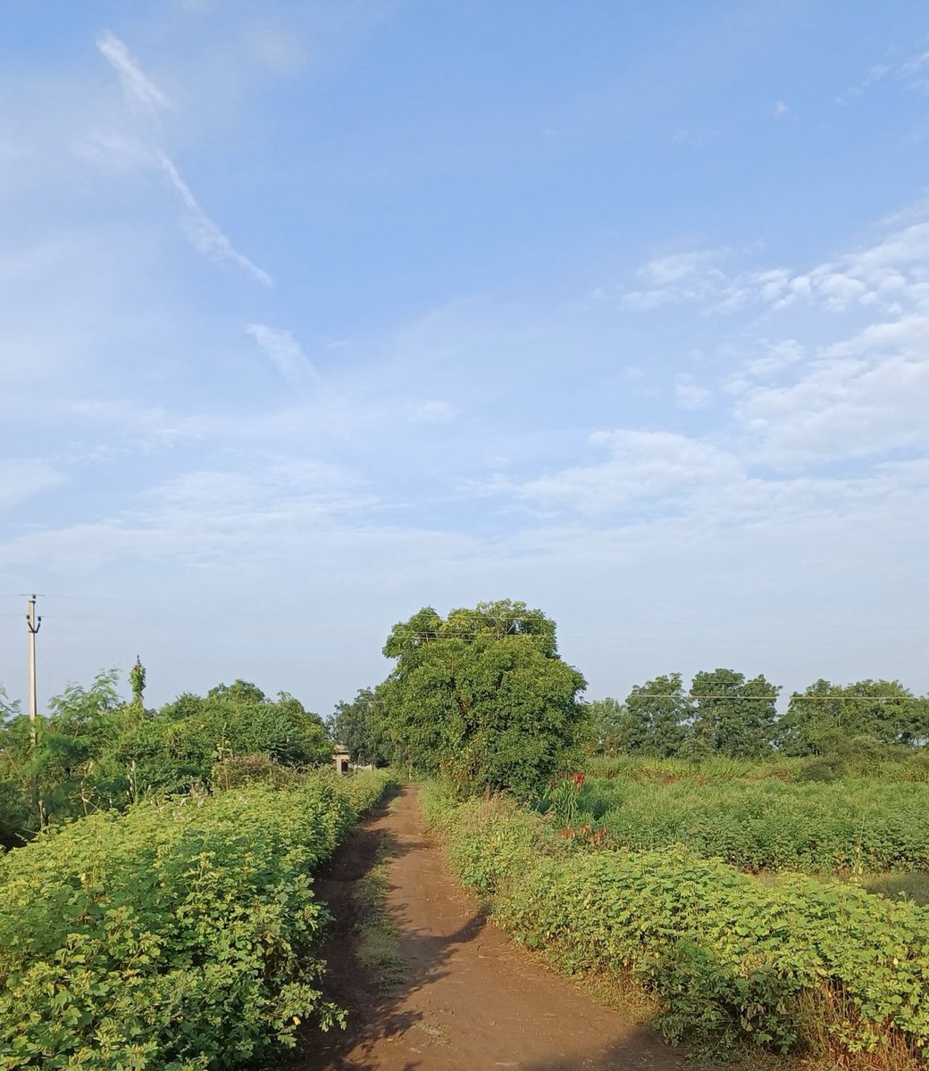CoderRuntime's tweet image. Sometimes stepping away for a bit helps you come back stronger and clearer.
छत्रपती संभाजीनगरची सकाळ 🌅✨
#छत्रपतीसंभाजीनगर #ShortBreak #MaharashtraDiaries
