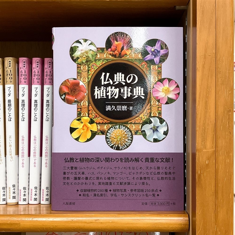仏典 Amazon.co.jp: 現代語訳大乗仏典(シリーズ・全7巻) : 中村 元