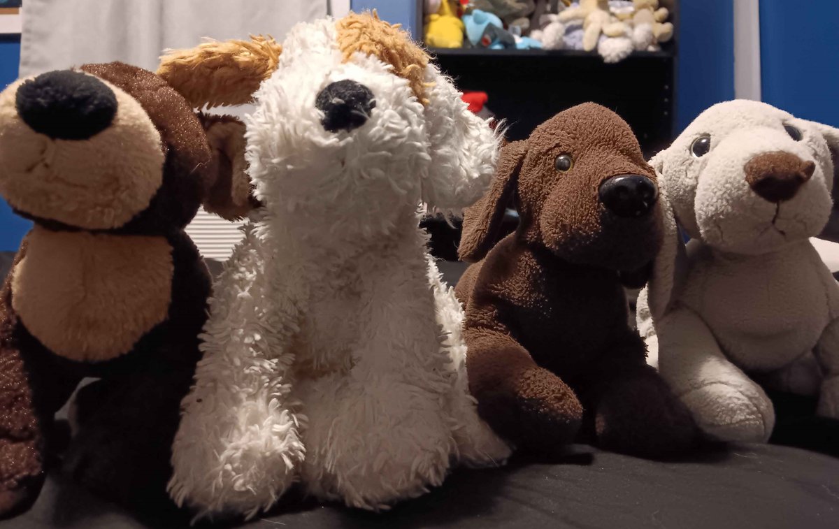 Team Ginger wins round 1!