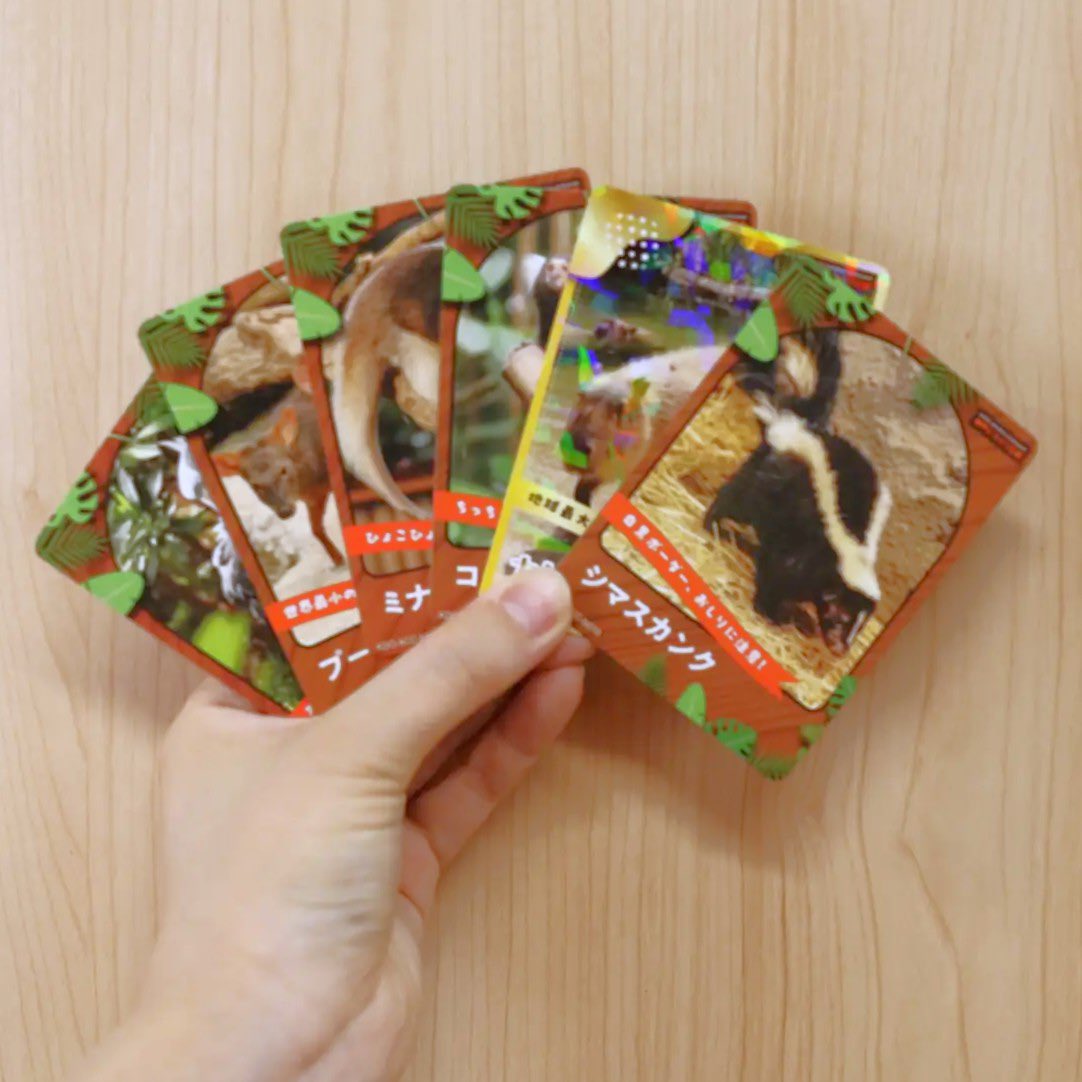 神戸どうぶつ王国 Gift Shop Capy&Berbara(カピィ＆バーバラ