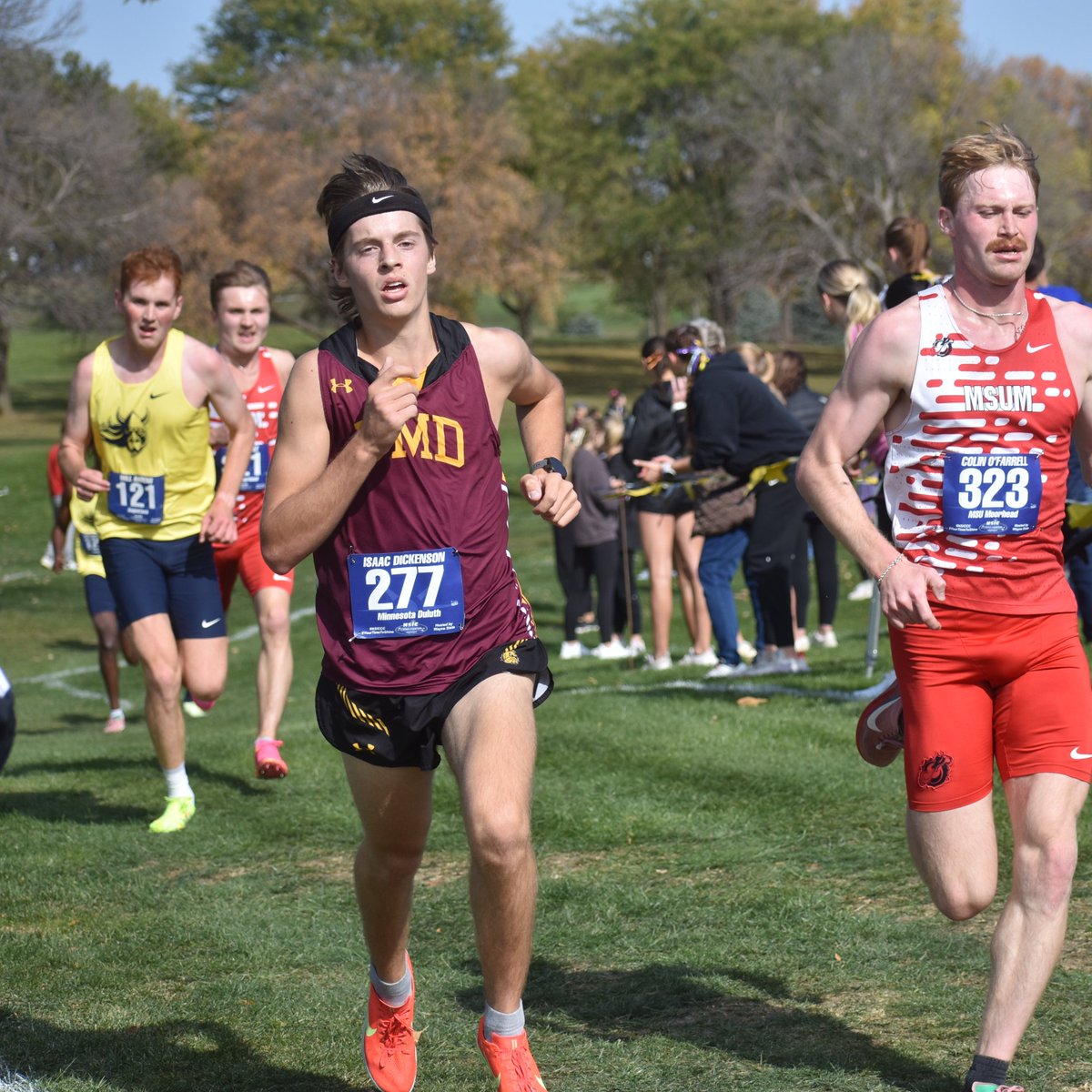 Hostager and the Bulldogs Run to Third Place, UMD Men Race to Ninth in NSIC Cross Country Championships

Recap, Results: umdbulldogs.com/news/2025/10/2…
