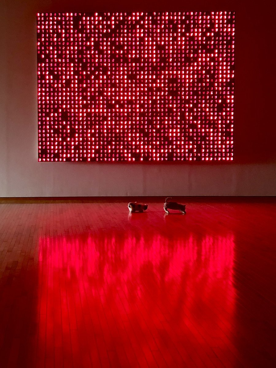 放送情報】本日10/25(土)21時50分~NHK Eテレ『ねこのめ美じゅつかん