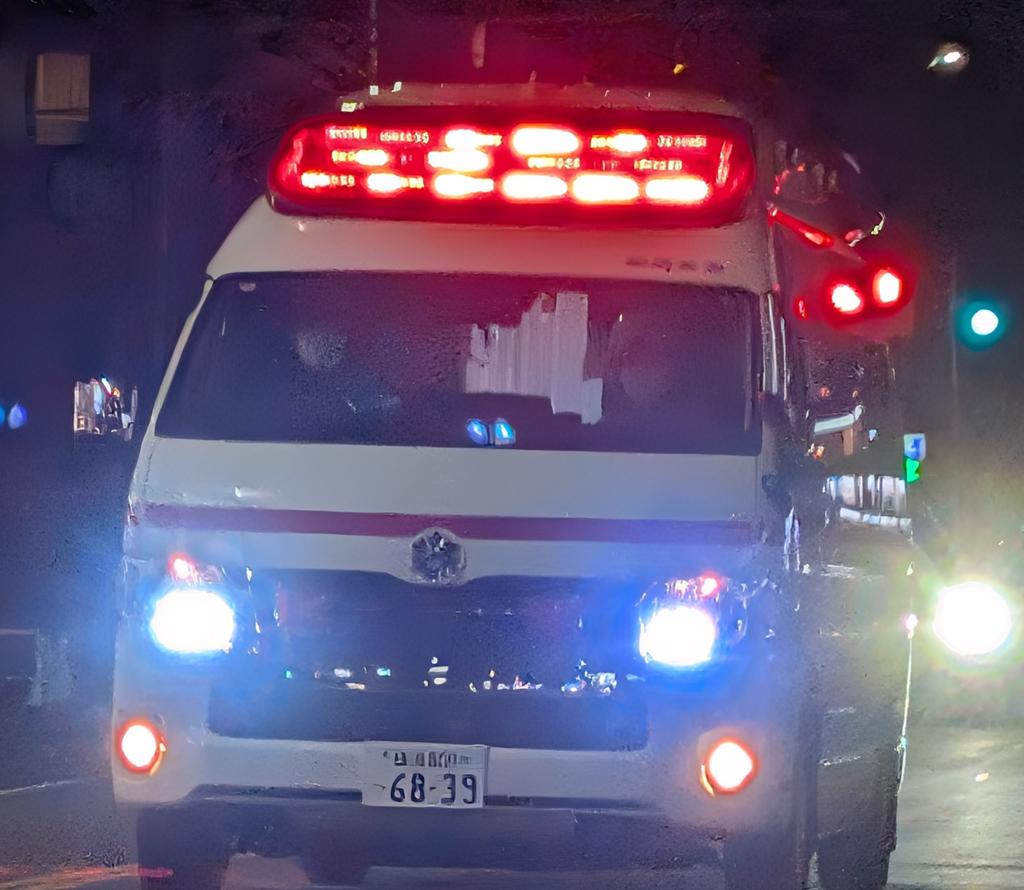 テロルの警告 ポスター Amazon.com: 1980 Datsun 280ZX - Promotional Advertising