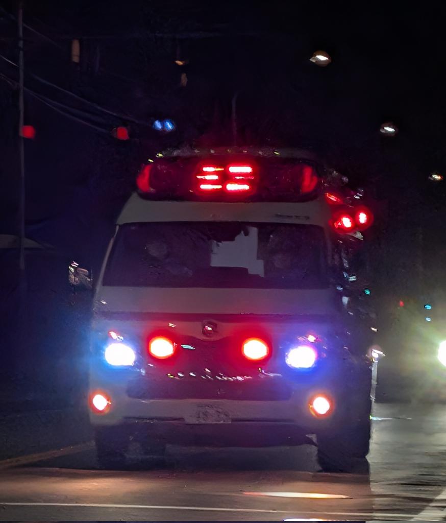 テロルの警告 ポスター Amazon.com: 1980 Datsun 280ZX - Promotional Advertising