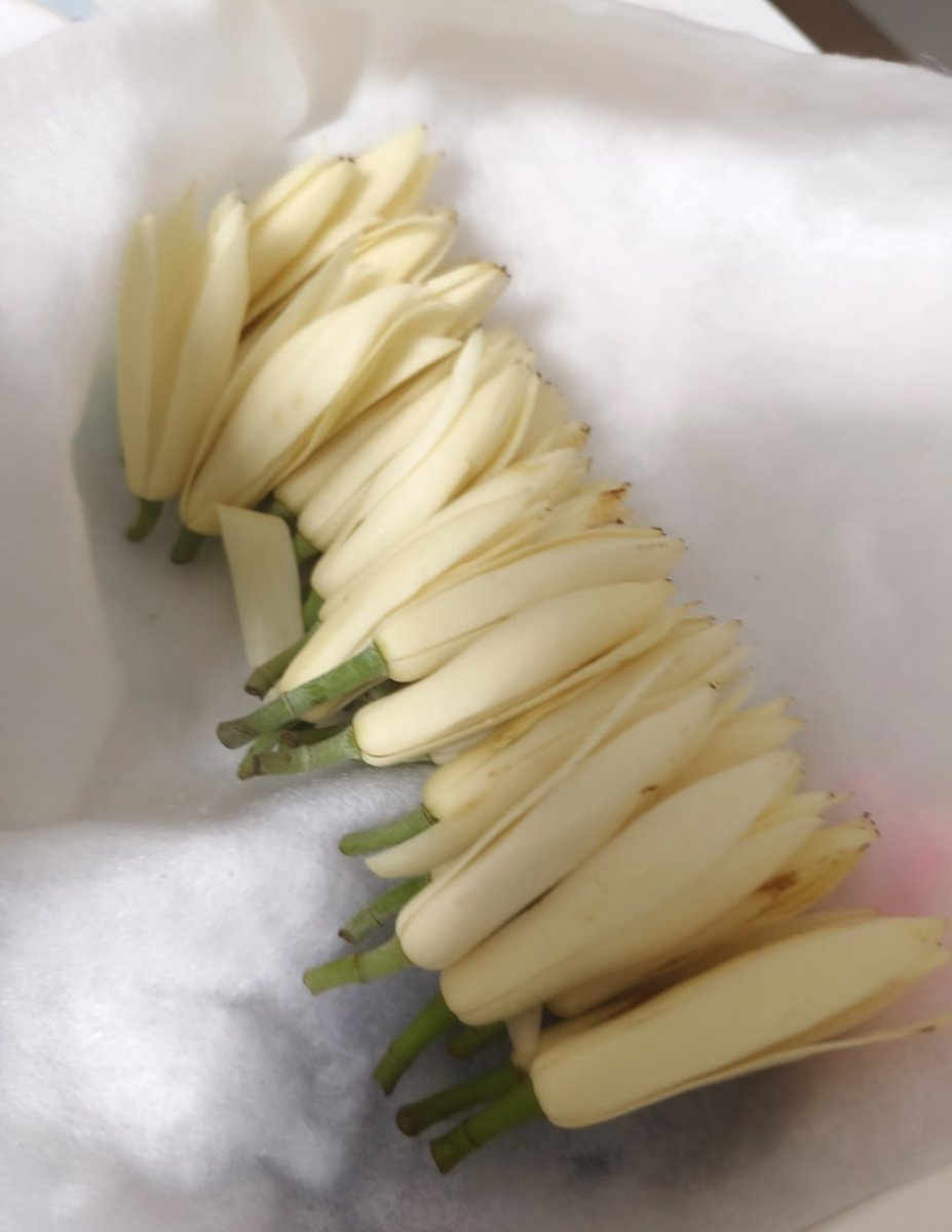 蒹葭（互fo🇨🇳必回💞） tweet media