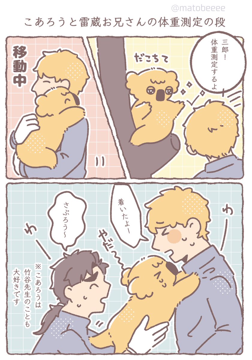 matobeeee's tweet image. 🐨🐝と飼育員の⚡️お兄さんの体重測定の段!
擬獣化