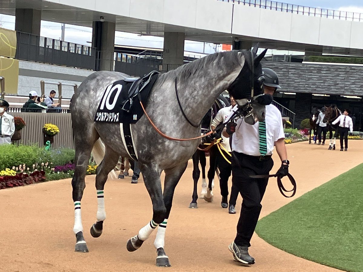 梅ちゃんページ 梅ちゃん on X