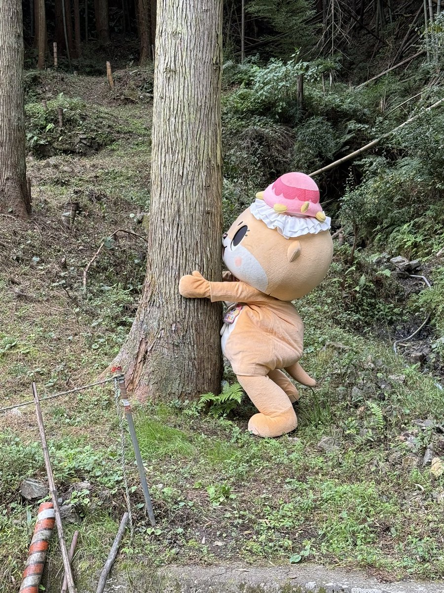 ちぃたん様の専用ページ Chiitan 妖精ちぃたん - YouTube