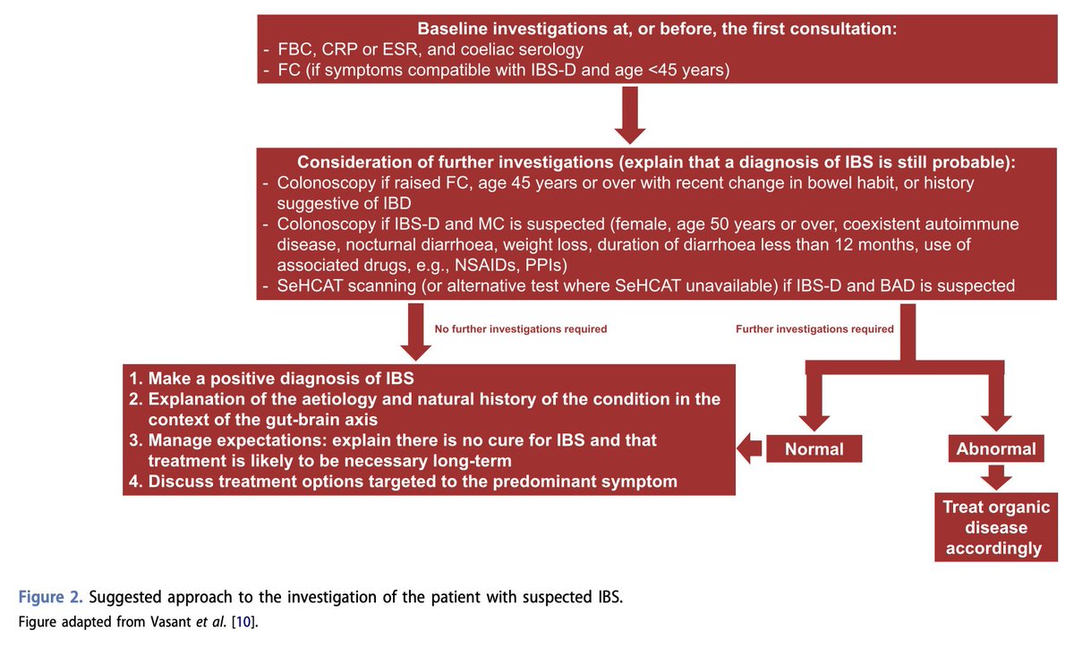 JoseAyonM's tweet photo. 📑An evidence-based update on the diagnosis and management of Irritable Bowel Syndrome.

https://t.co/kleKoCFL2Z https://t.co/iQcpoRG75H