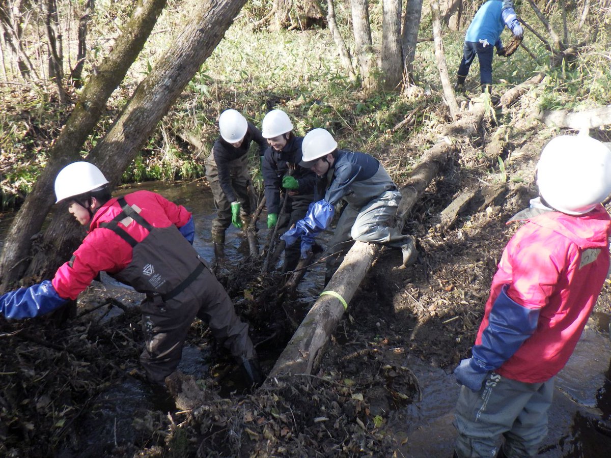 今年もJALの皆さんと自然採食地の整備を行いました！このCSR活動は今年で10年目。
寒い中ありがとうございました！
＃タンチョウ　＃鶴居・伊藤タンチョウサンクチュアリ