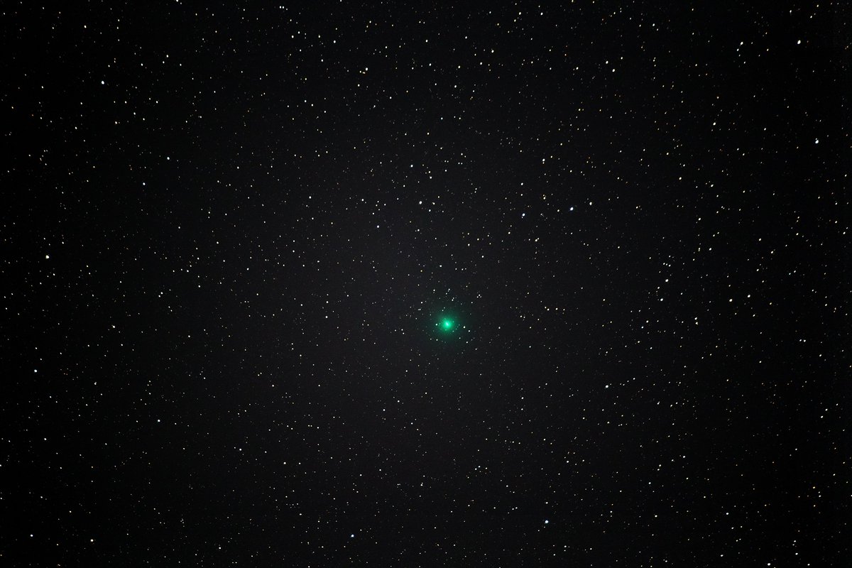 kk_papa's tweet image. 🍋の次は🦢（小っちゃかった😅）
■C/2025 R2 SAWN #c2025r2swan 
2025/10/24 21:17:42
#pentax
#pentaxk3mkiii + #pentax_da300
F4.0 ISO6400 240sec(30sec×8) 0.0EV 
追尾　#アストロトレーサー Type3
Sequator, GIMP, #SILKYPIX Pro11