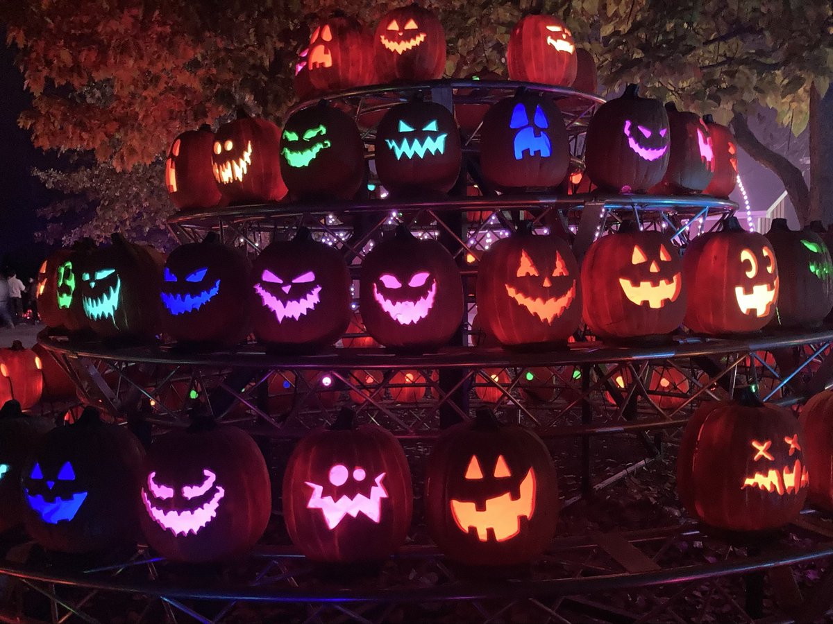 The Magic of the Jack-o-Lanterns
