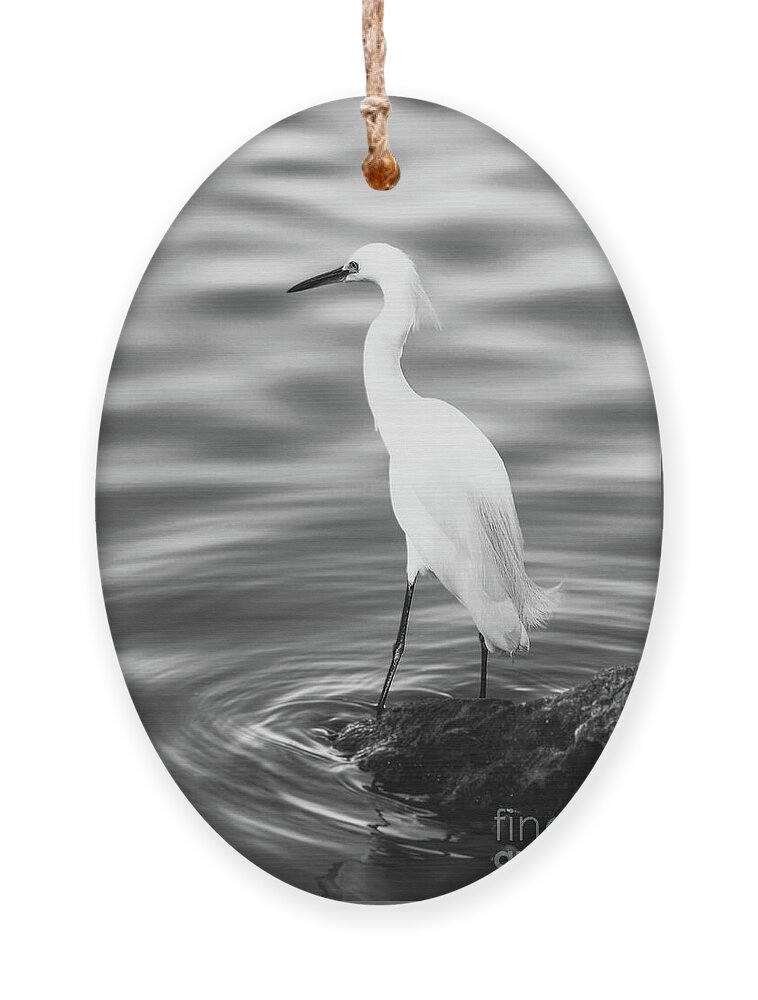 JoanneCarey64's tweet image. "Snowy Egret by the Water" spiral #notebook and #ornament and/or #magnet 🤍
#birdphotography #snowyegret #blackandwhitephotography #journaling #gifts #Christmasgifts 
3-joanne-carey.pixels.com