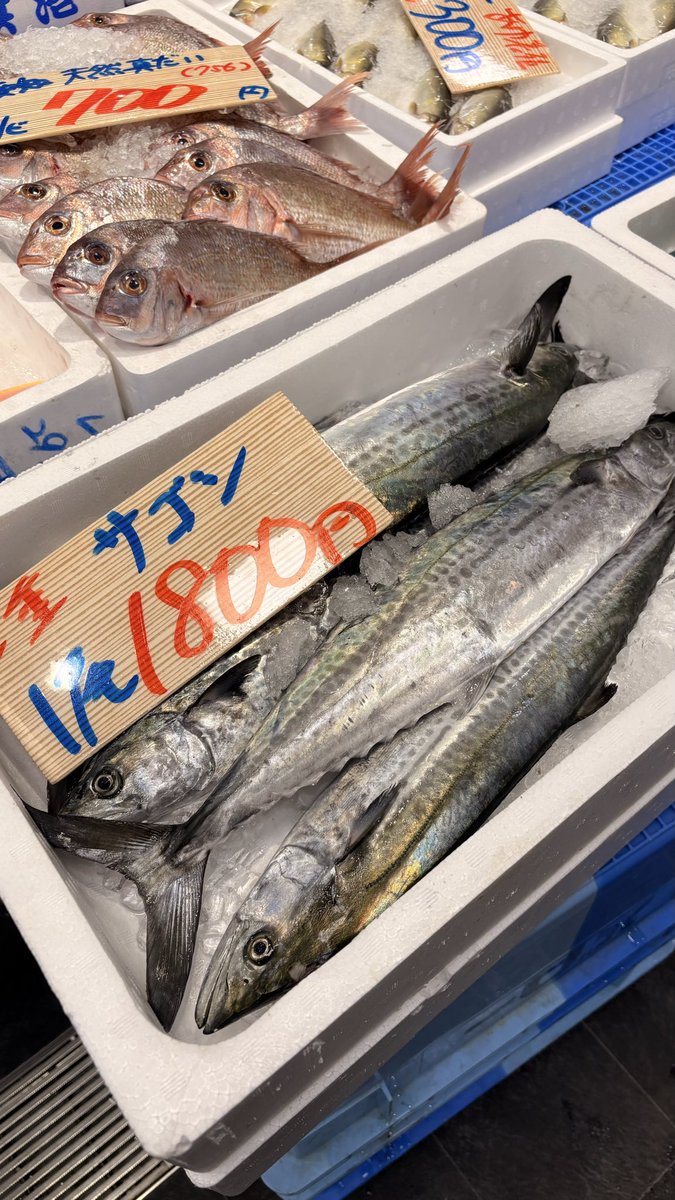 釣り好きブラザーズ / tsurizukibrothers on X 釣り好きブラザーズ / tsurizukibrothers on X