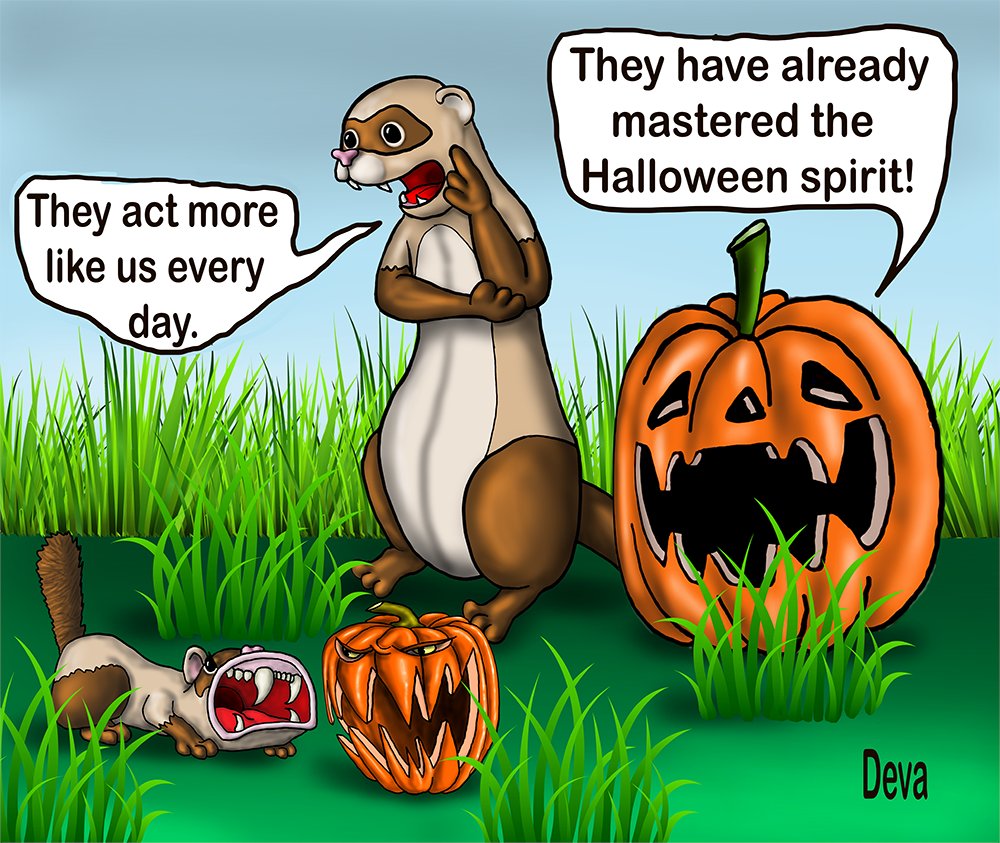 celticdeva1's tweet image. Scary how they learn from us.