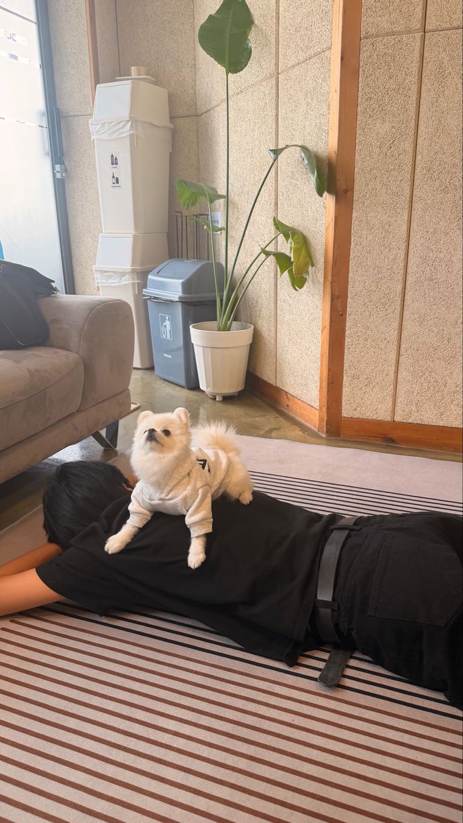 사랑이란 감정
깜고위의 강아지라니
아름다운조합