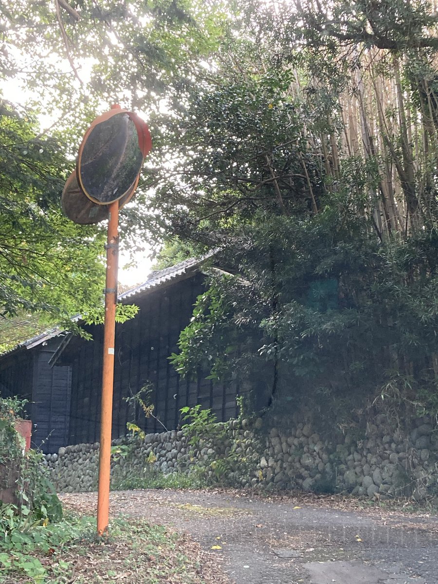 OmoChi(断捨離中)様 優れた視認性と高さの工夫で針刺し切創を防止 「サラヤ針捨てBOX