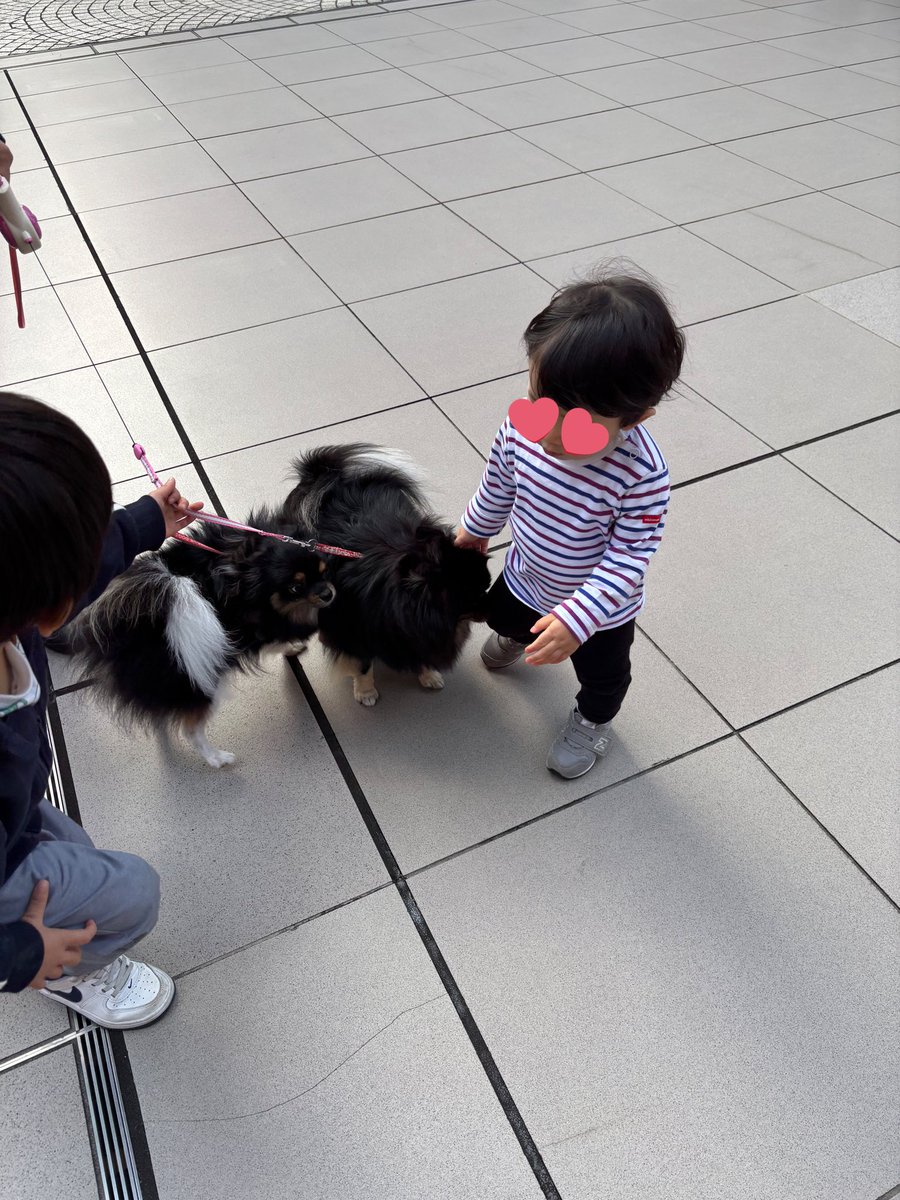 恵比寿にある景丘の家で遊ばせたよ〜！

終わった後は、花男ぶっささり世代なので
恵比寿ガーデンプレイスので撮影♡

ワンちゃん🐶大好き息子に
うちのこ噛まないからよかったら触りますか？🥰の
お声がけをいただき
わんわん！！と終始興奮でさわらせてもらえた👏