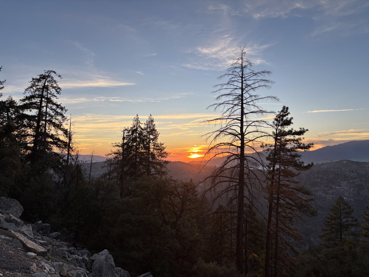 Charrel Jalving tweet media