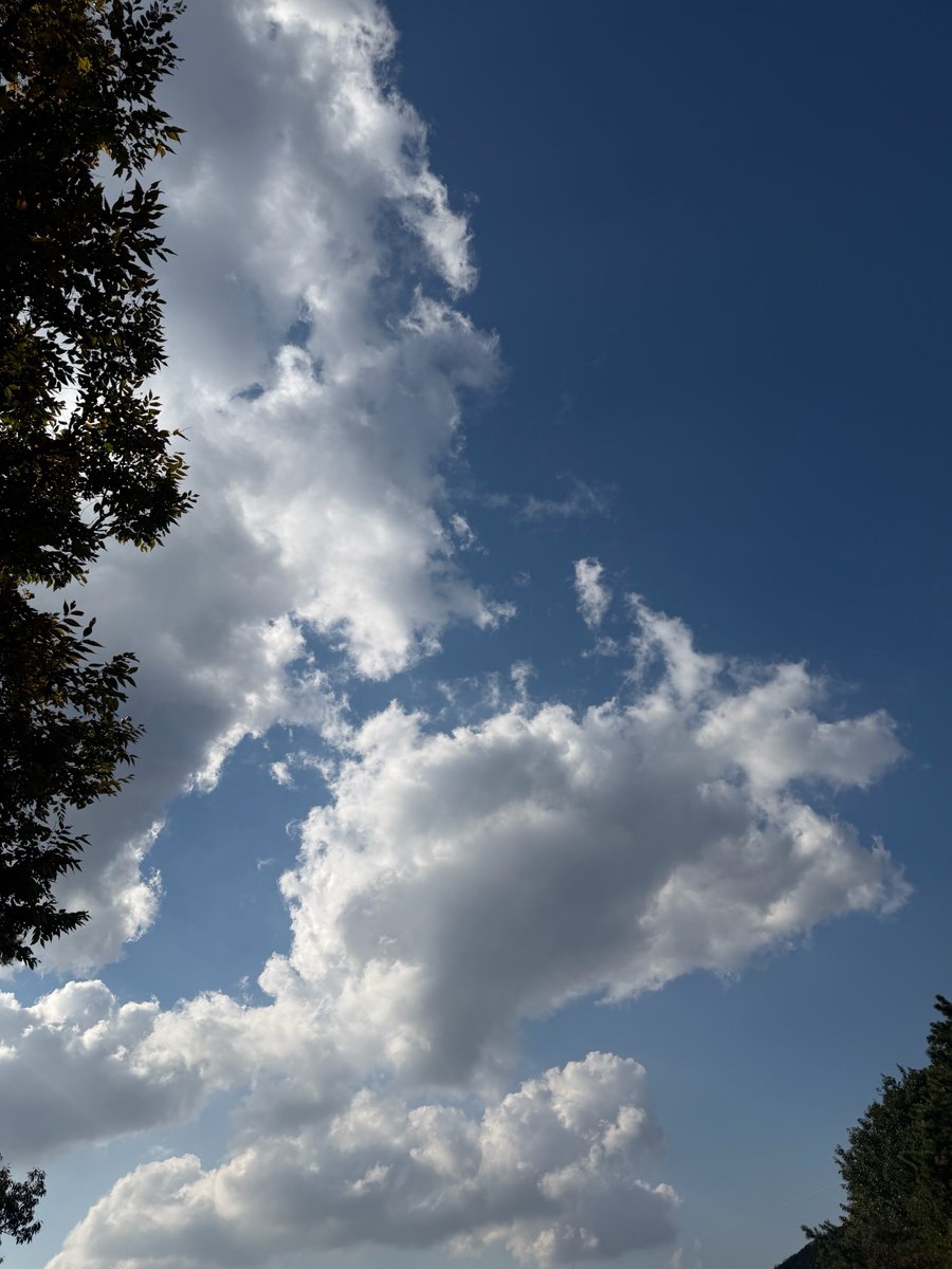 xunhuas's tweet photo. 251025 Sehun 🧼💌💭

Sehun sent a photo of the sky again today! 📸⛅️ https://t.co/L1qUaQKJ0W