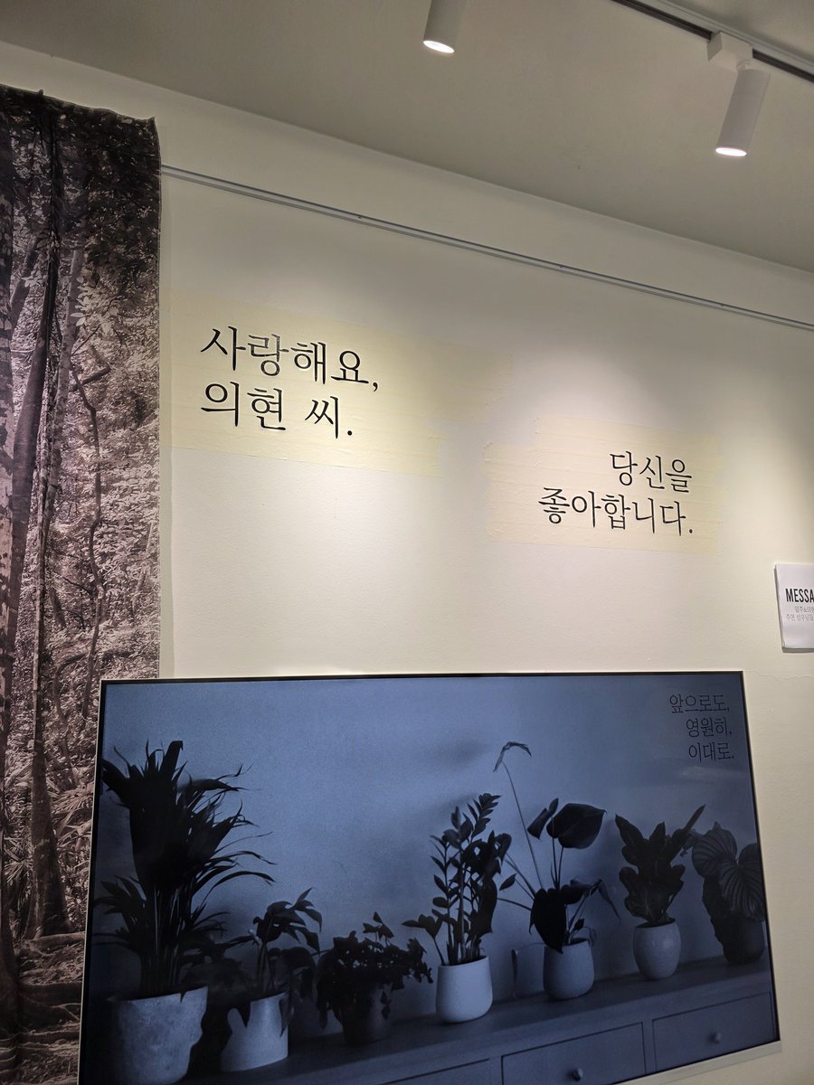 code_rhdwn's tweet image. 오늘도 조카카페에