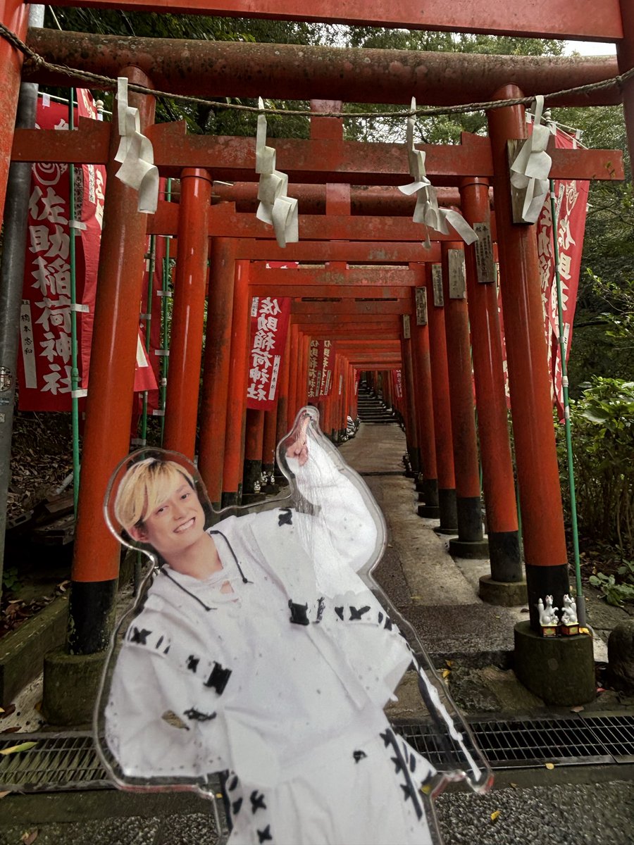 【サイン入】鈴木理策 / Torii TORII｜鈴木理策写真集 | 玄玄書林