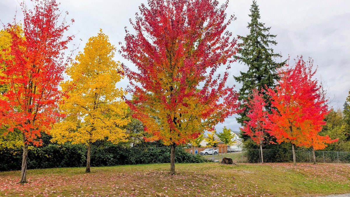 Fall is my favorite season. Fall’s colors are a good reminder that growth often comes through transition.