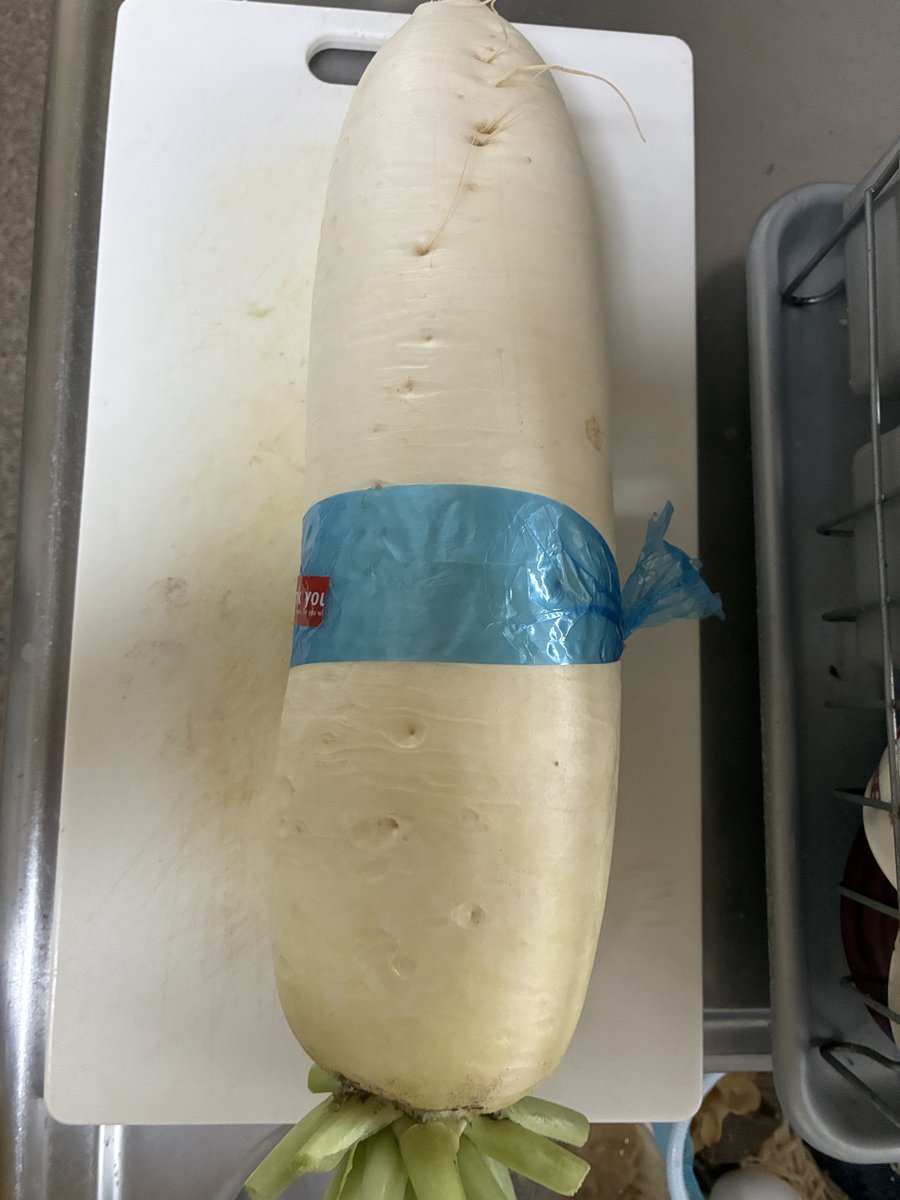 大根のえ 早どりミニ大根 | 花＆グリーン 通販 | ホームセンターのカインズ